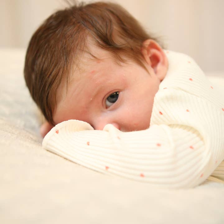 Camicia m.l. Avvolgi Punti per la vendita all'ingrosso da parte di Bess