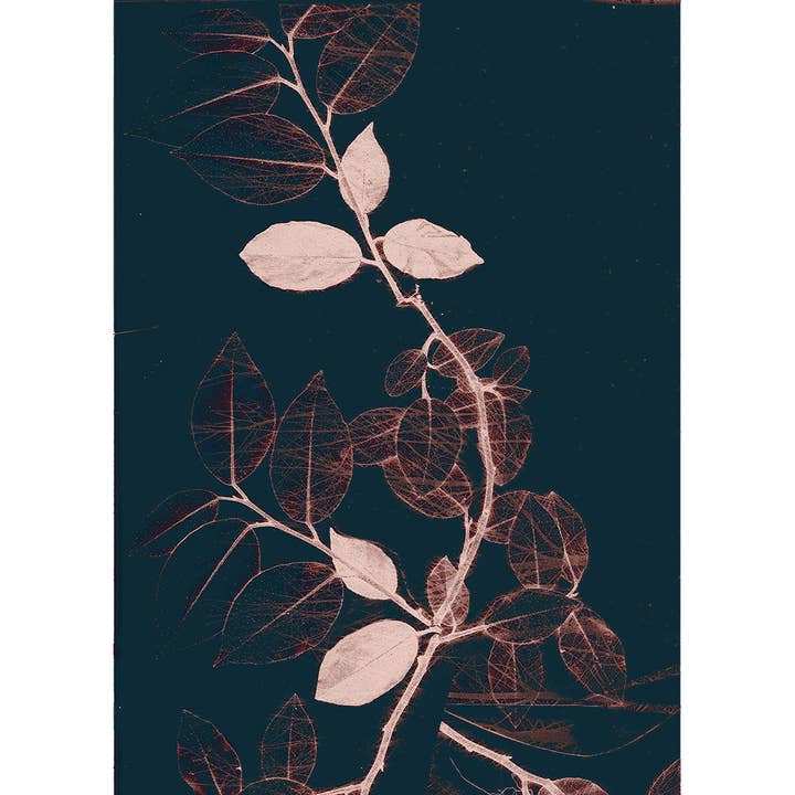 Tarjeta de notas Freyr VII Dark Copper para venta al por mayor de heraldblack