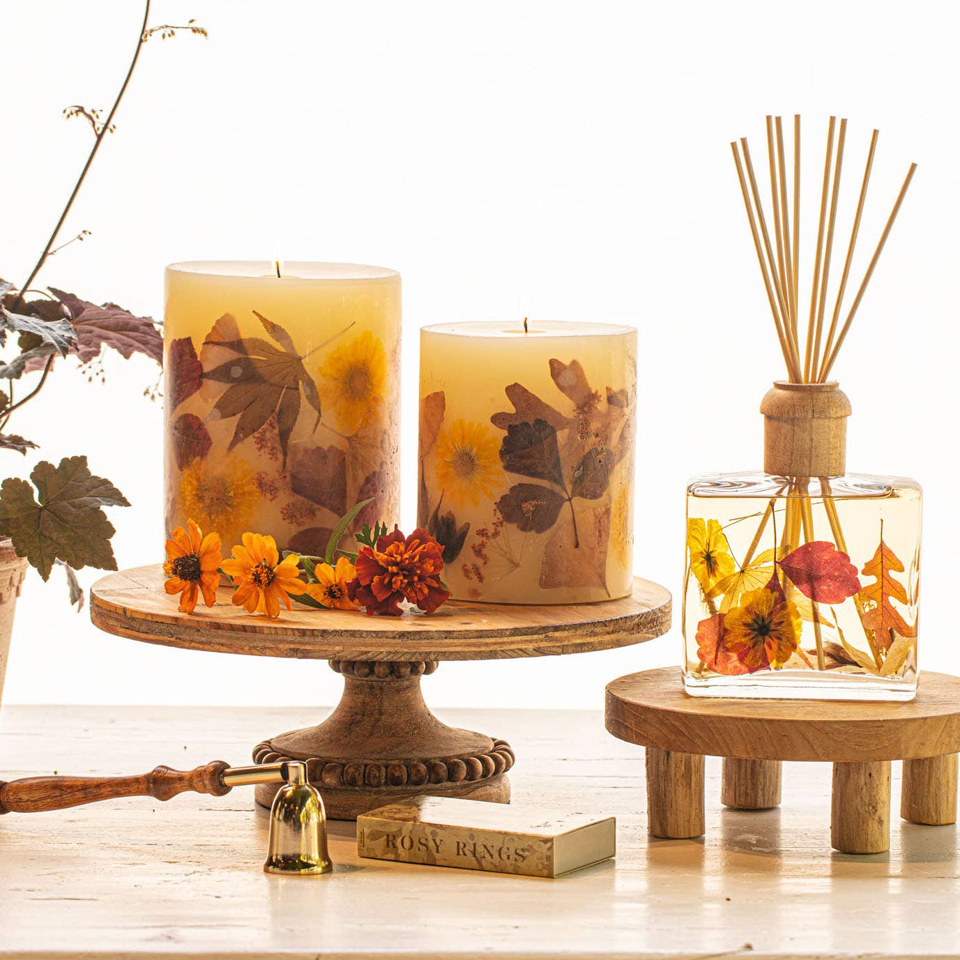 Rosy Rings – wholesale Pelarljus – Harvest Pumpkin Medium rund botaniskt ljus1
