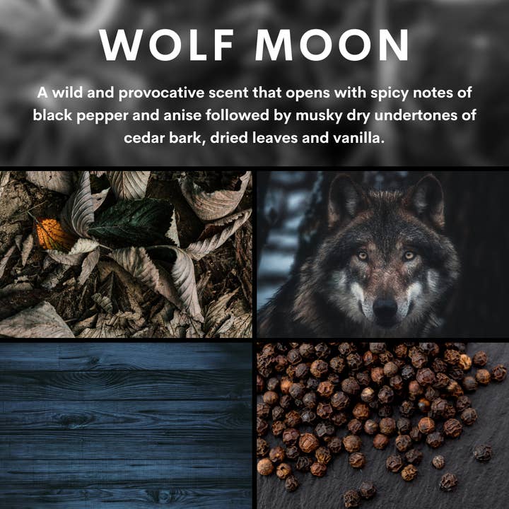 Burke & Hare Co - Wholesale Jar/Filled Candle - Gothic Scented Candles - Wolf Moon - Dark Academia2