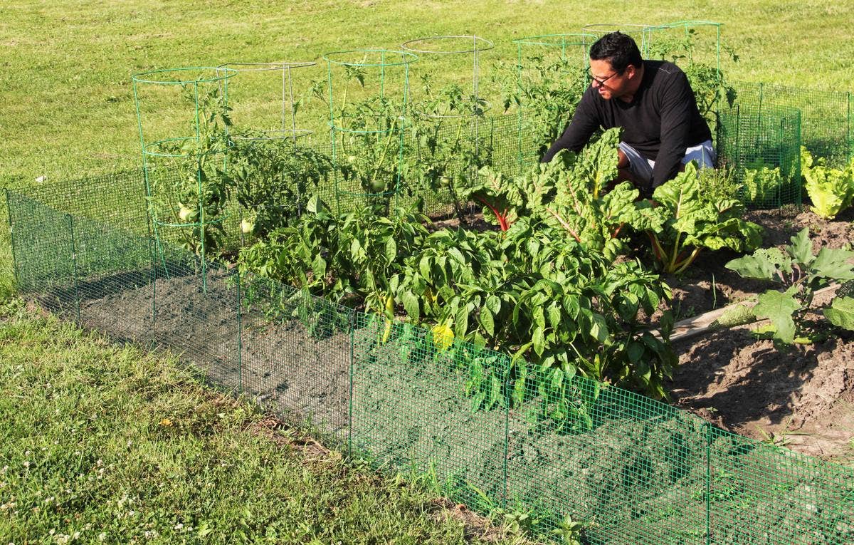 Flipo Group, Ltd. - Wholesale Outdoor Ornament/Decor - 12-Foot Expandable Modular Garden Fencing System9