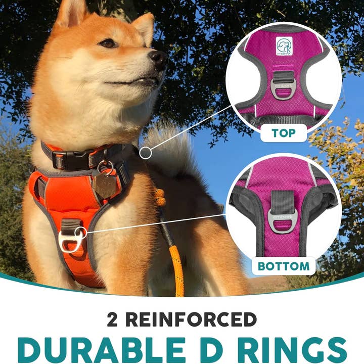Embark Pets - Wholesale Pet Harness - Dog - Embark Adventure Dog Harness No-Pull Dog Harness