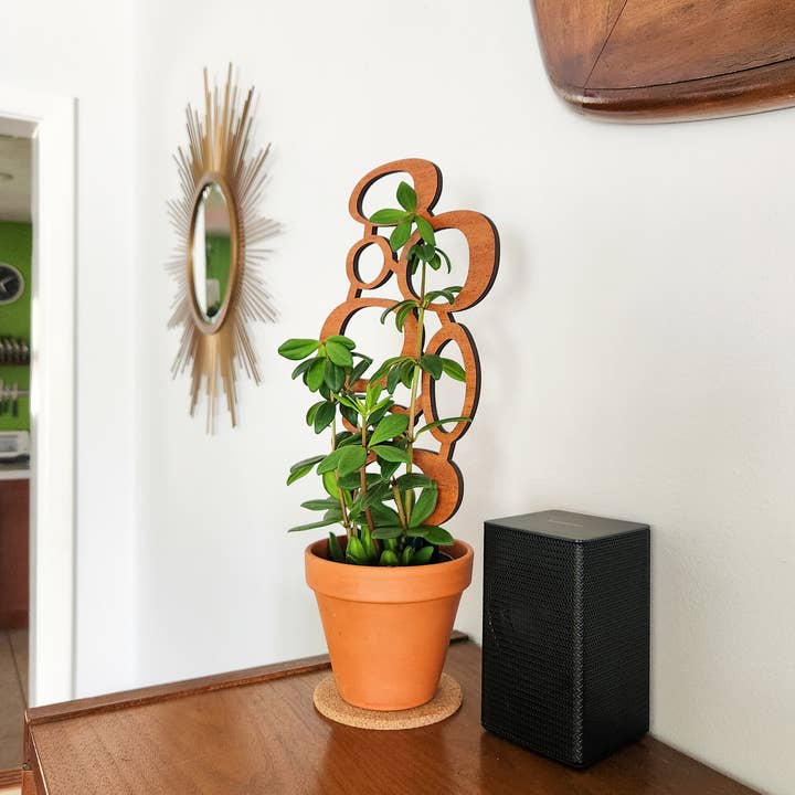 Leaf & Node - Wholesale Trellis - MCM Style Wood Indoor Plant Trellis (Circles - 2 Sizes)