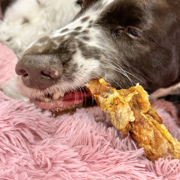 Rover Pet Products – Großhandel Leckerlis – Hund – Krokodilrippen hypoallergene Hundeleckerlis