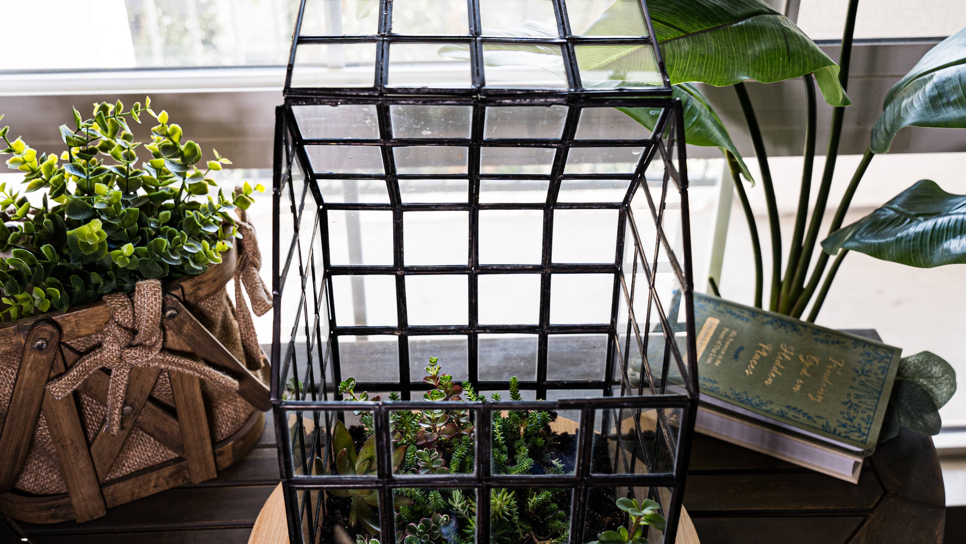 Urban Born - Wholesale Terrarium - Glass Terrarium Lattice, Large, 8x8x12"3