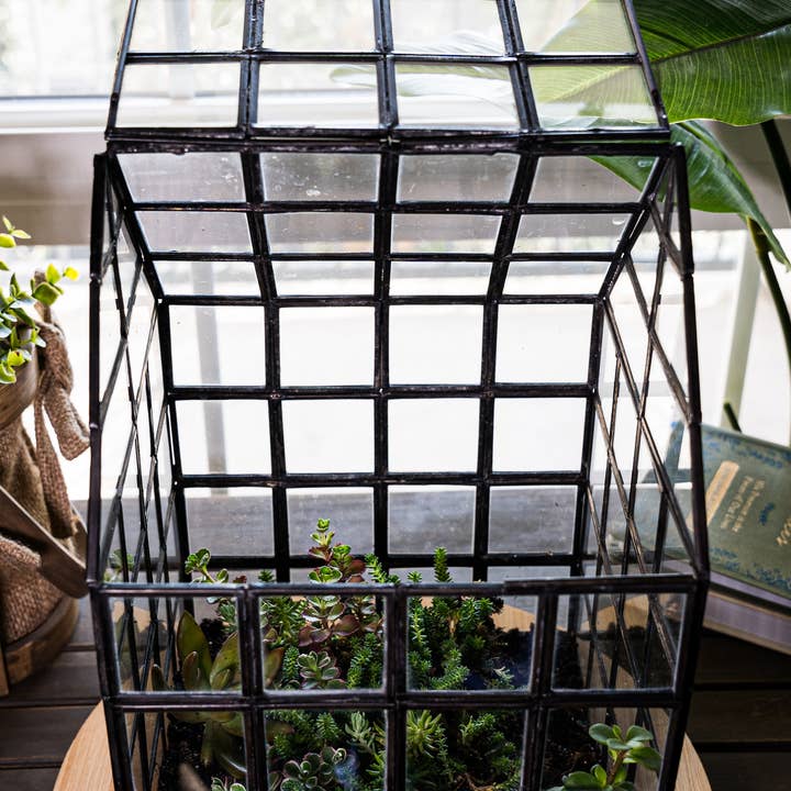Urban Born - Wholesale Terrarium - Glass Terrarium Lattice, Large, 8x8x12"3
