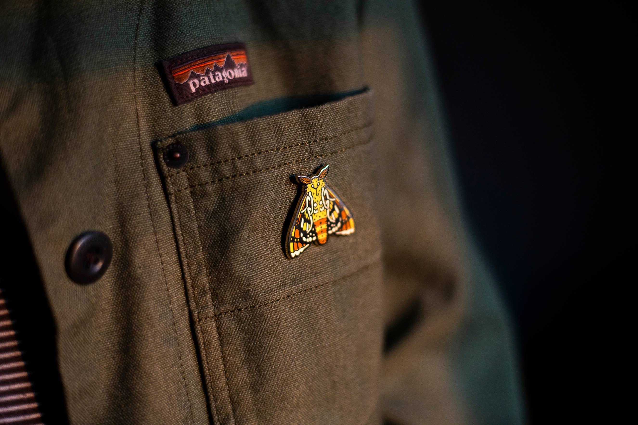 Mustard Beetle - Wholesale Lapel pin/button - Moth Enamel Pin 1.25”, Entomology Pin2