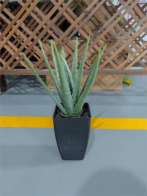 Select Artificials, Inc. - Wholesale Artificial Plant - Aloe Plant in Pot 8.27"X7.48"X15.75"