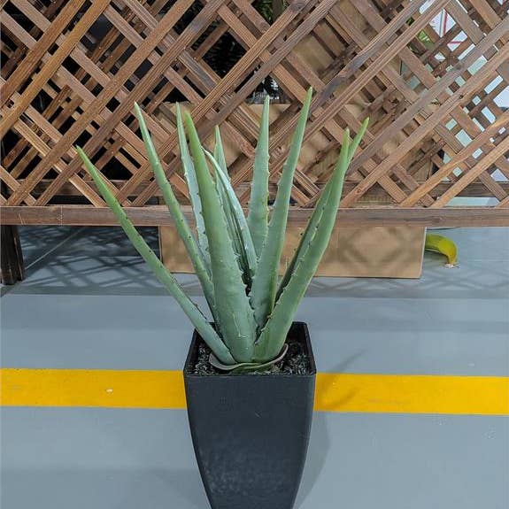 Select Artificials, Inc. - Wholesale Artificial Plant - Aloe Plant in Pot 8.27"X7.48"X15.75"0