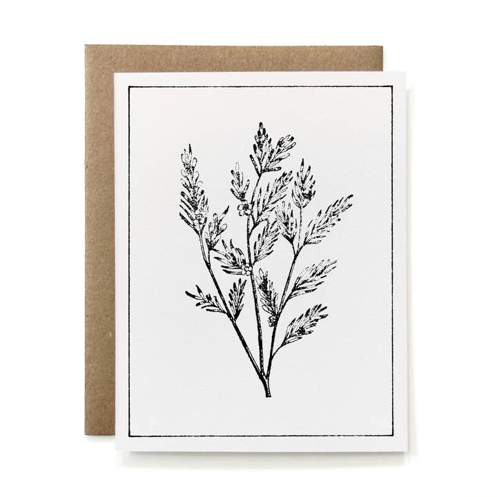 100% Recycled B&W Botanical Card - Tea Tree Branch for wholesale by Knapping Press