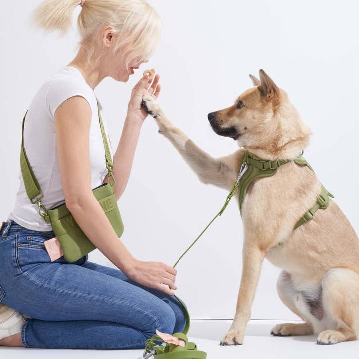 Wild One - Wholesale Pet Harness - Dog - Harness49