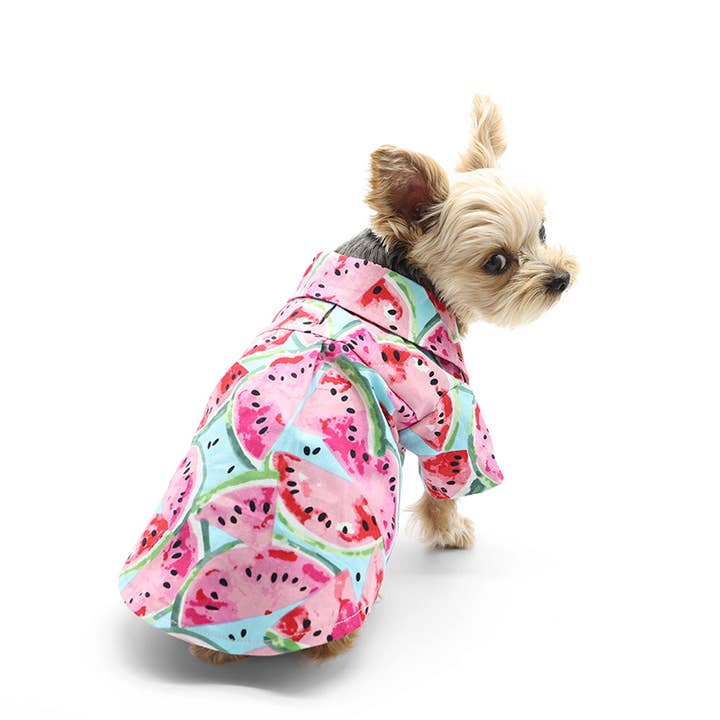 Dogo Pet - Wholesale Pet Shirt - Dog - Watermelon Shirt1