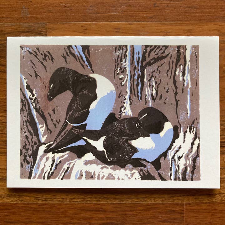 Single card "Razorbill Ledge" for wholesale by Sarah Drummond Art