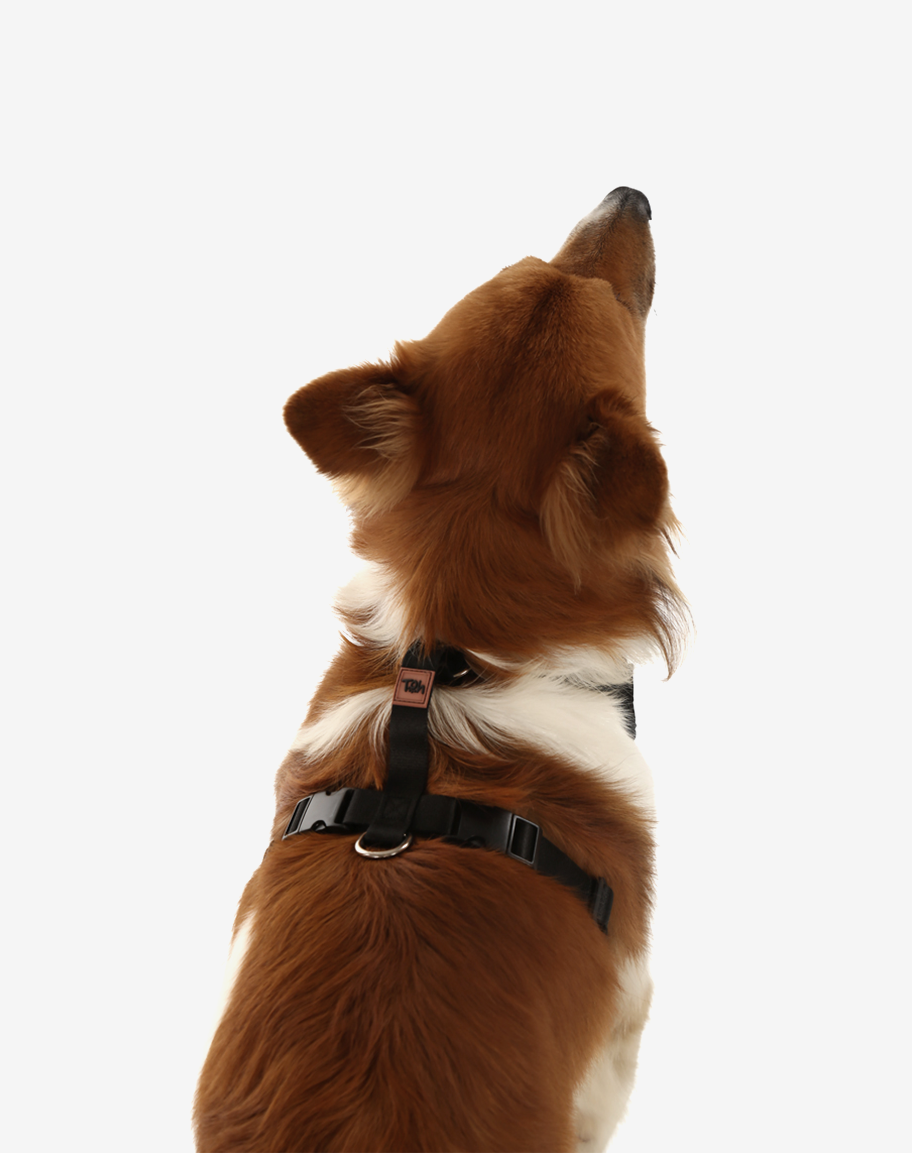 Toh - Wholesale Pet Harness - Dog - H-Mesh Dog Harness Black4