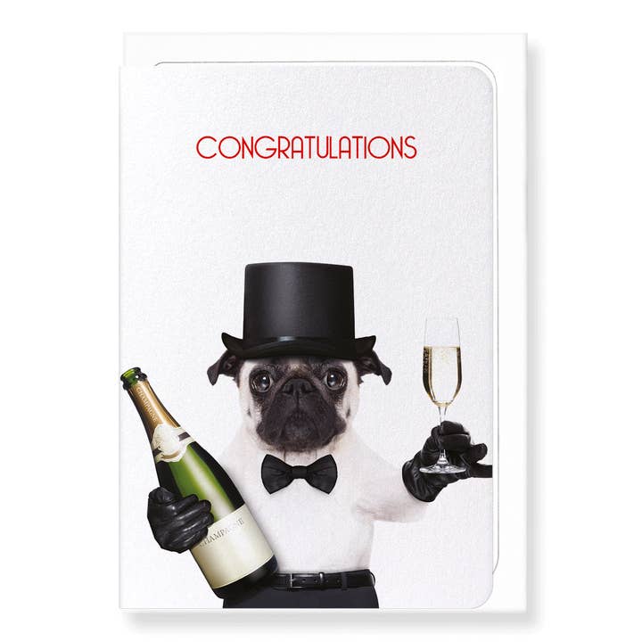 CONGRATULATIONS FROM MR PUG: Greeting Card for wholesale by Ezen Trade