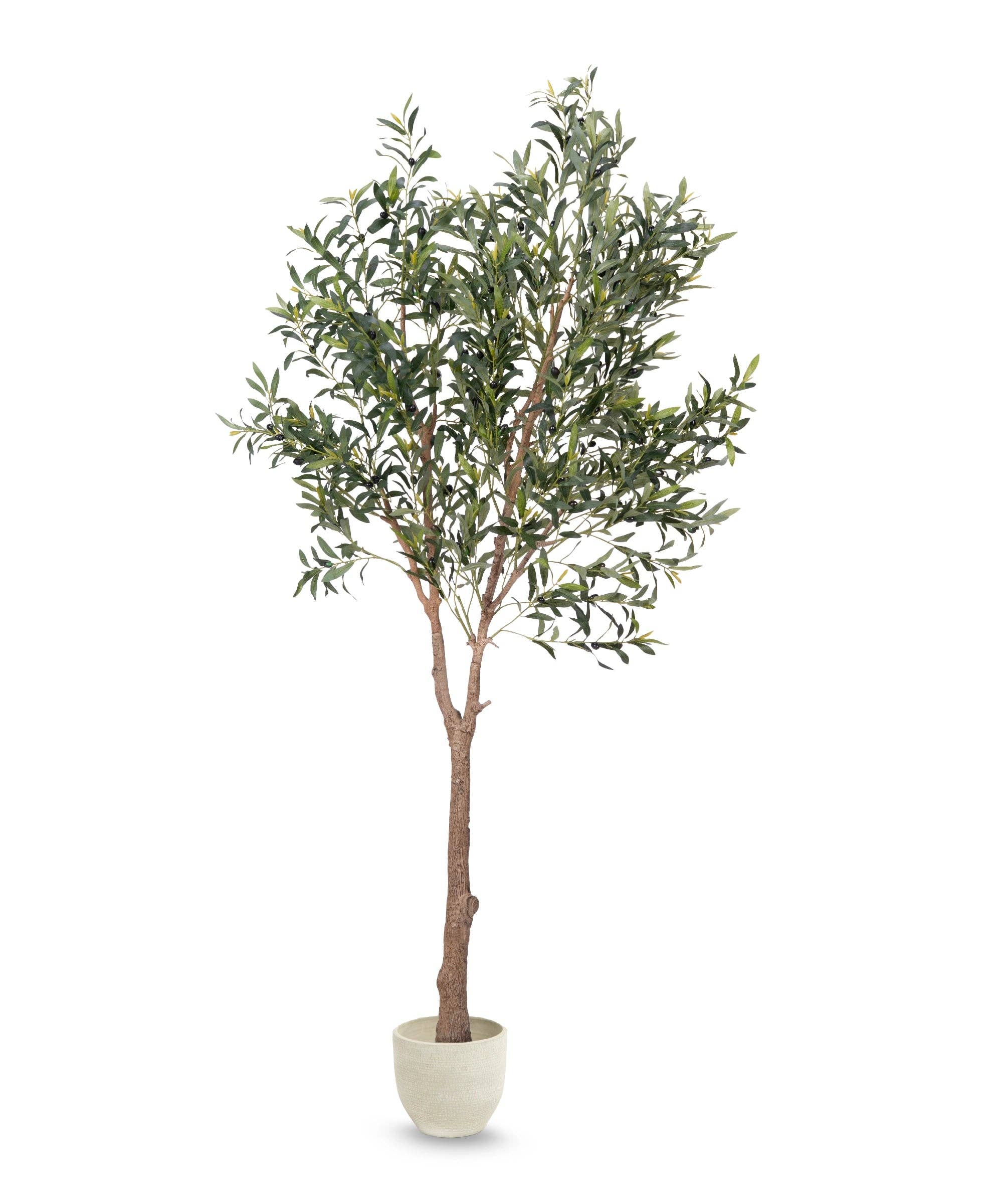 Maia Shop – Großhandel Kunstpflanzen – Künstlicher Olivenbaum Moon 210 cm1