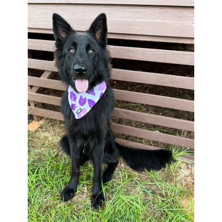 The Keiki Dept - Wholesale Pet Bandana - Dog - Hawaiian Pet Pink & Purple Kalo Bandana