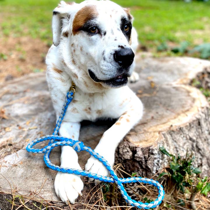 REMOVED BRAND – trela - Cão por atacado – 4 'Paracord Leash - azul/cinza3