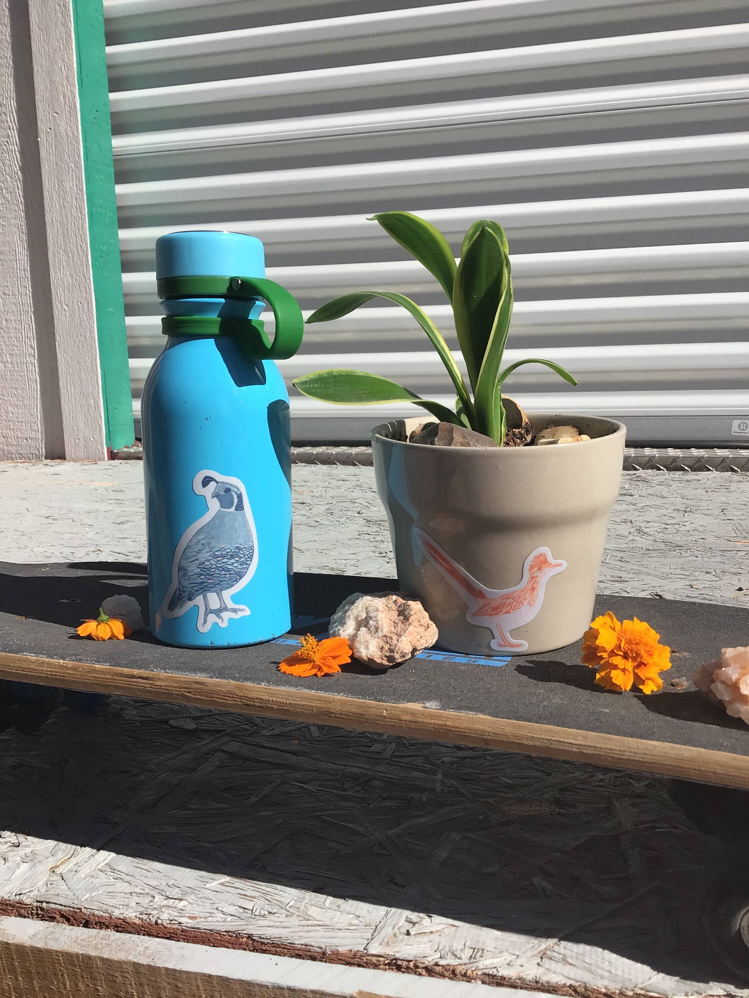 June Jewell Designs - Wholesale Sticker - 3” Roadrunner & Quail Vinyl Sticker Set1