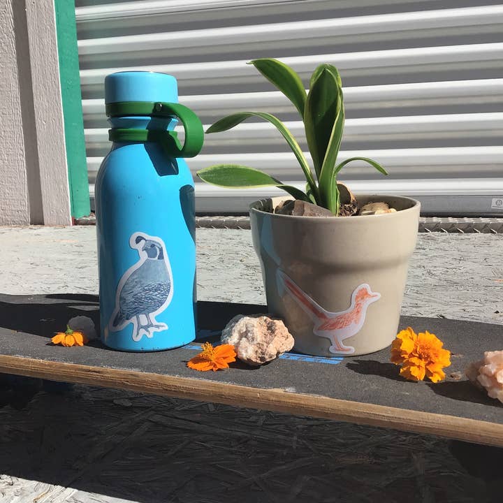 June Jewell Designs - Wholesale Sticker - 3” Roadrunner & Quail Vinyl Sticker Set1