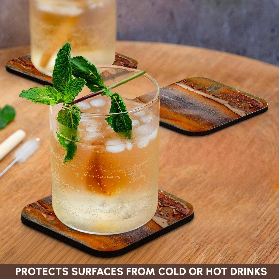 3dRose - Wholesale Coasters - 3dRose, USA, Washington State. Bellevue Botanical garden and tree bark, Coaster9