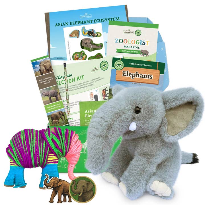 Elephant Zoologist Box (Ages 6-8) for wholesale by Wildlife Tree