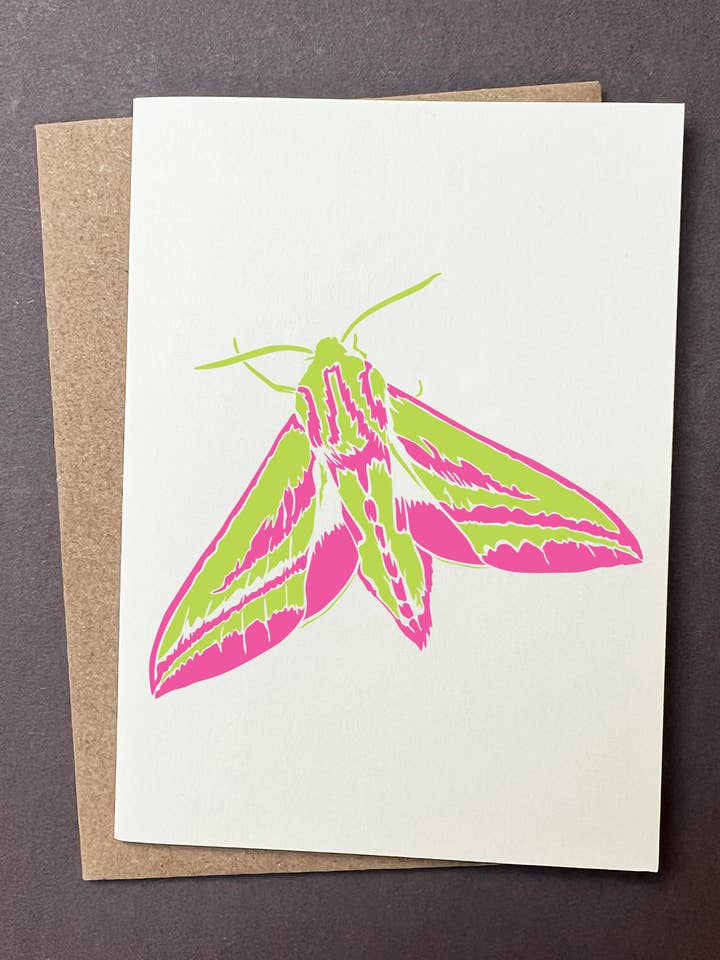 Elephant Hawk Moth Card  for wholesale by Penguin Ink