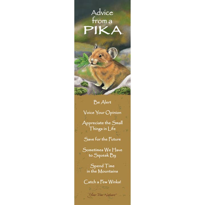 Advice from a Pika Laminated Bookmark for wholesale by Advice for Life by Your True Nature