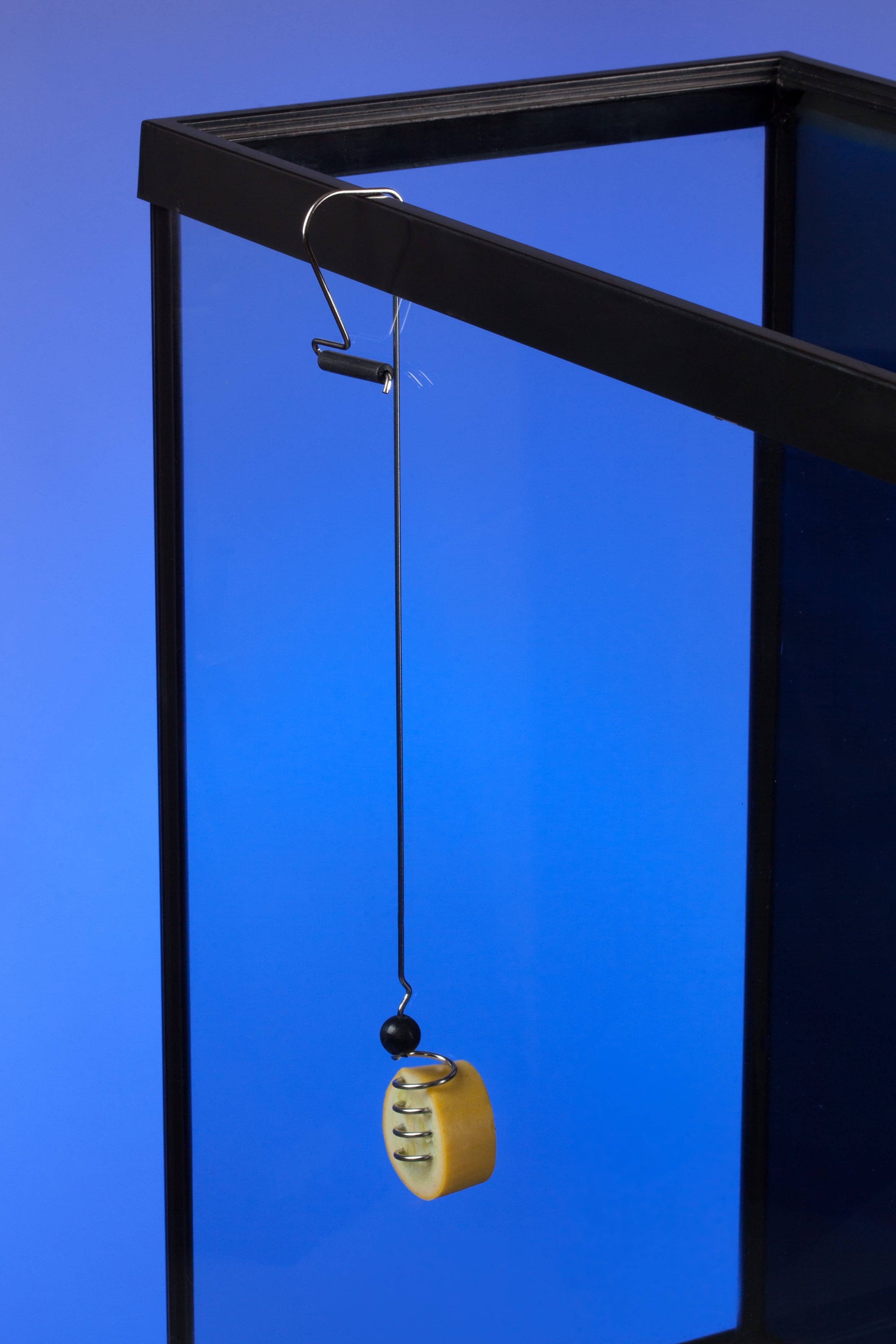 The Pleco Feeder - Wholesale Pet Food - Not Cat/Dog - The Pleco Feeder - CUSTOMER FAVORITE fish/aquarium/pet shops1