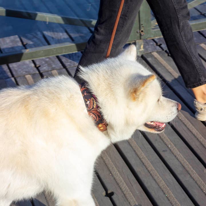 Atelier Markiz - Wholesale Pet Collar - Dog - Kashmir Necklace4