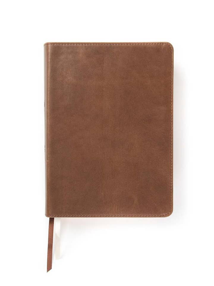 CSB She Reads Truth Bible, Brown Genuine Leather, Indexed for wholesale by Lifeway
