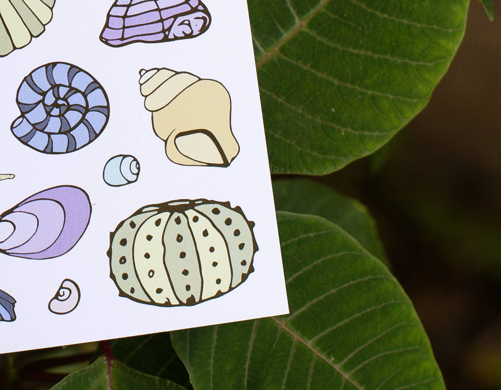 Lacelit | Stationery & Gifts by Kimberly Kuniko - Wholesale Love Card - None Like You | Love & Friendship Card1