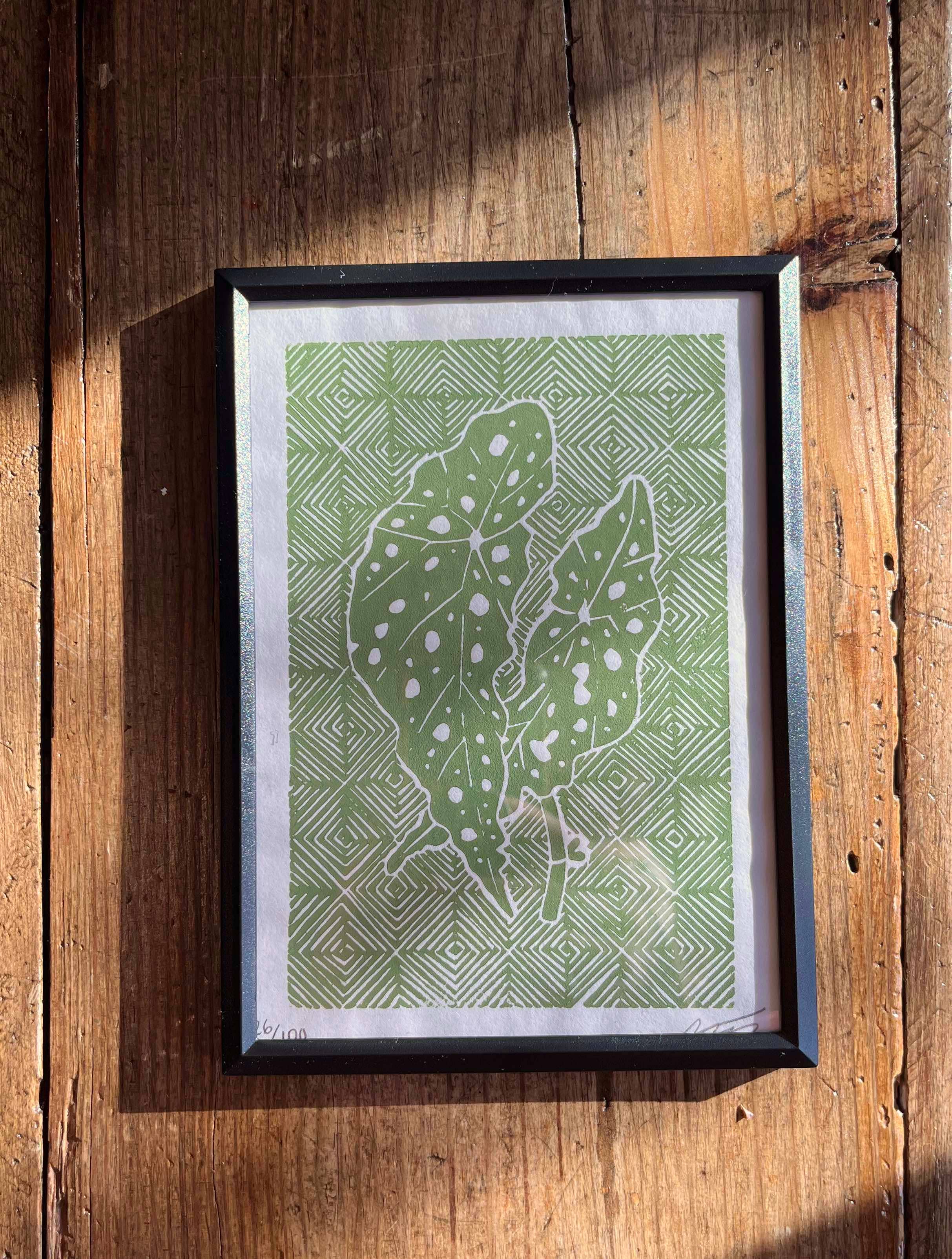 Morganite Press - Wholesale Art Print - Polka Dot Begonia (Begonia Maculata)  Linocut Print 2