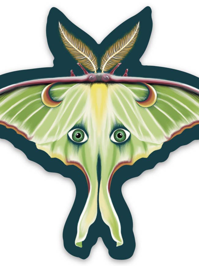 Adesivo «Luna Moth» di Tamar Phillips per la vendita all'ingrosso da parte di arteesian