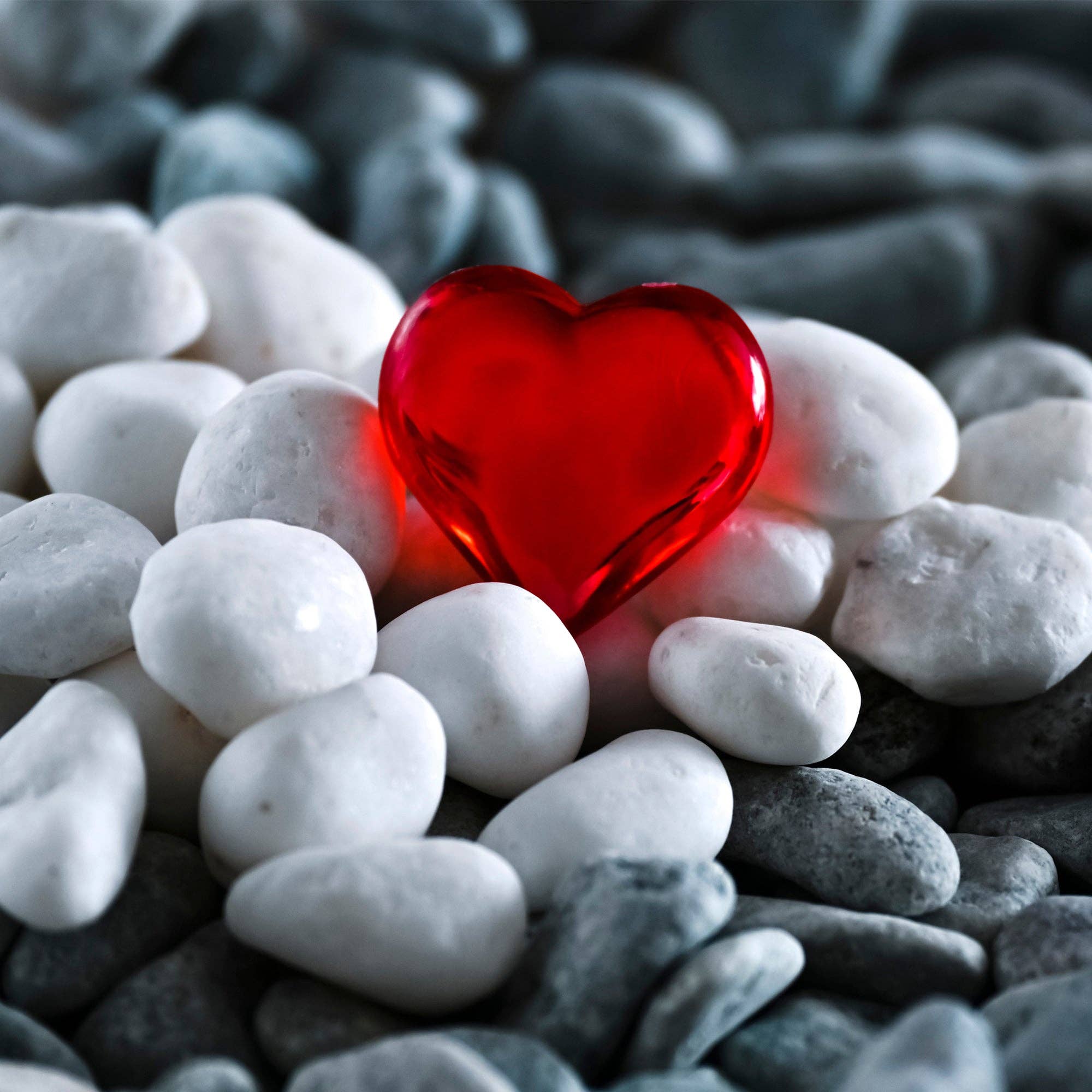 Portofino International Trading, USA - Wholesale Decorative Tabletop Object - White Pebbles - 2.2 LB. Bag5