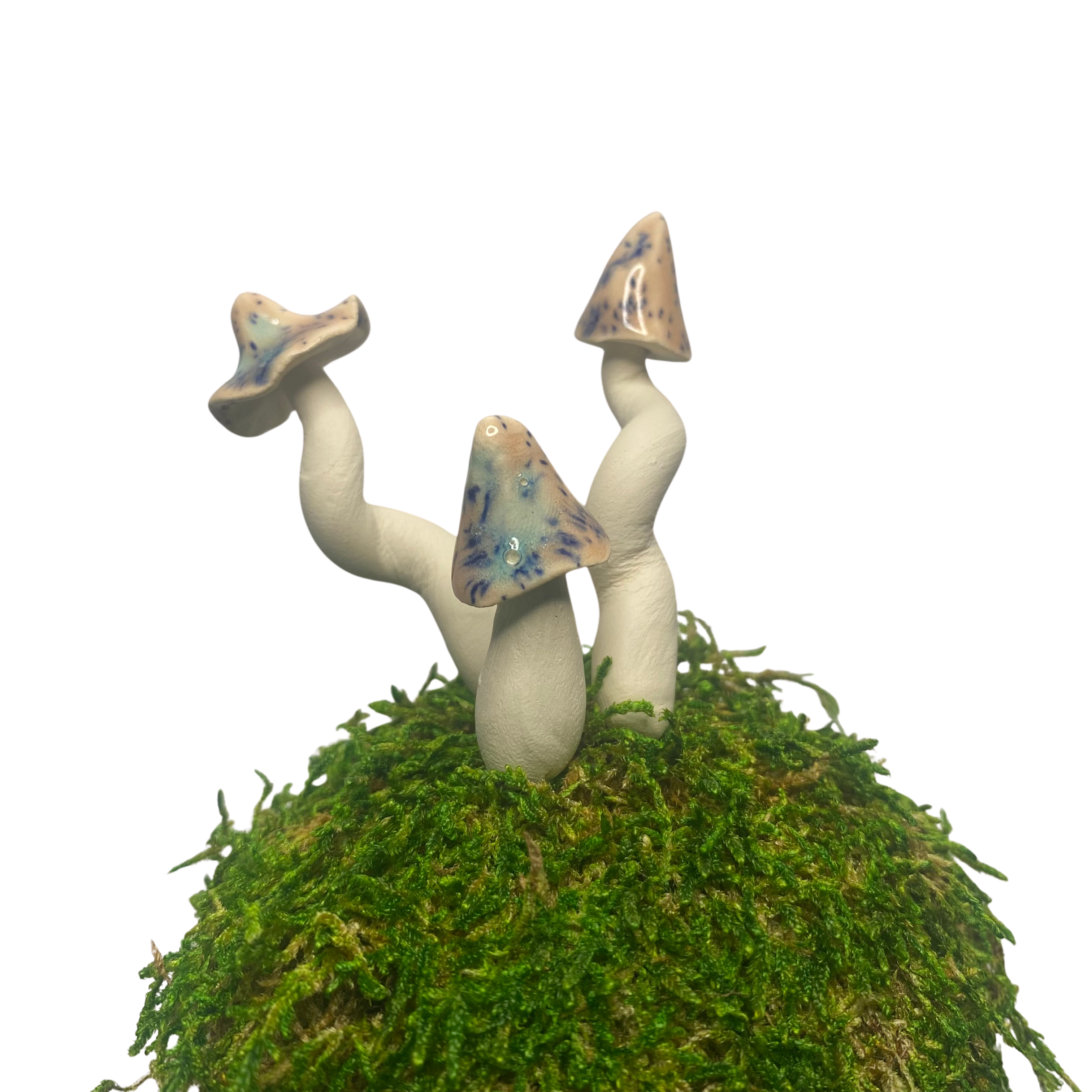 Handpicked Ceramics - Wholesale Decorative Tabletop Object - Mini Ceramic Mushrooms0