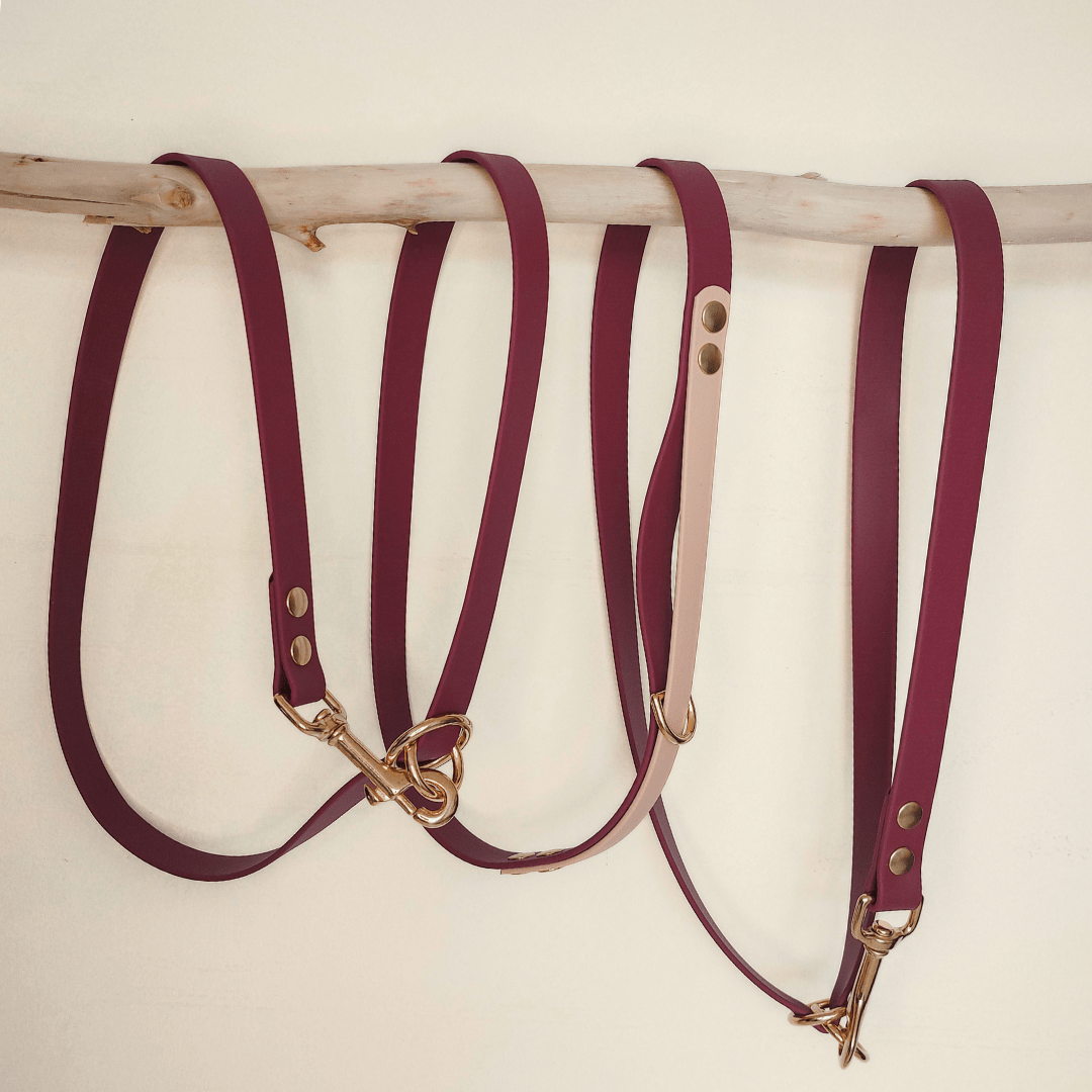 Truffe & Flair - Wholesale Pet Leash - Dog - Dog multi-position leash - Biothane - Raspberry3