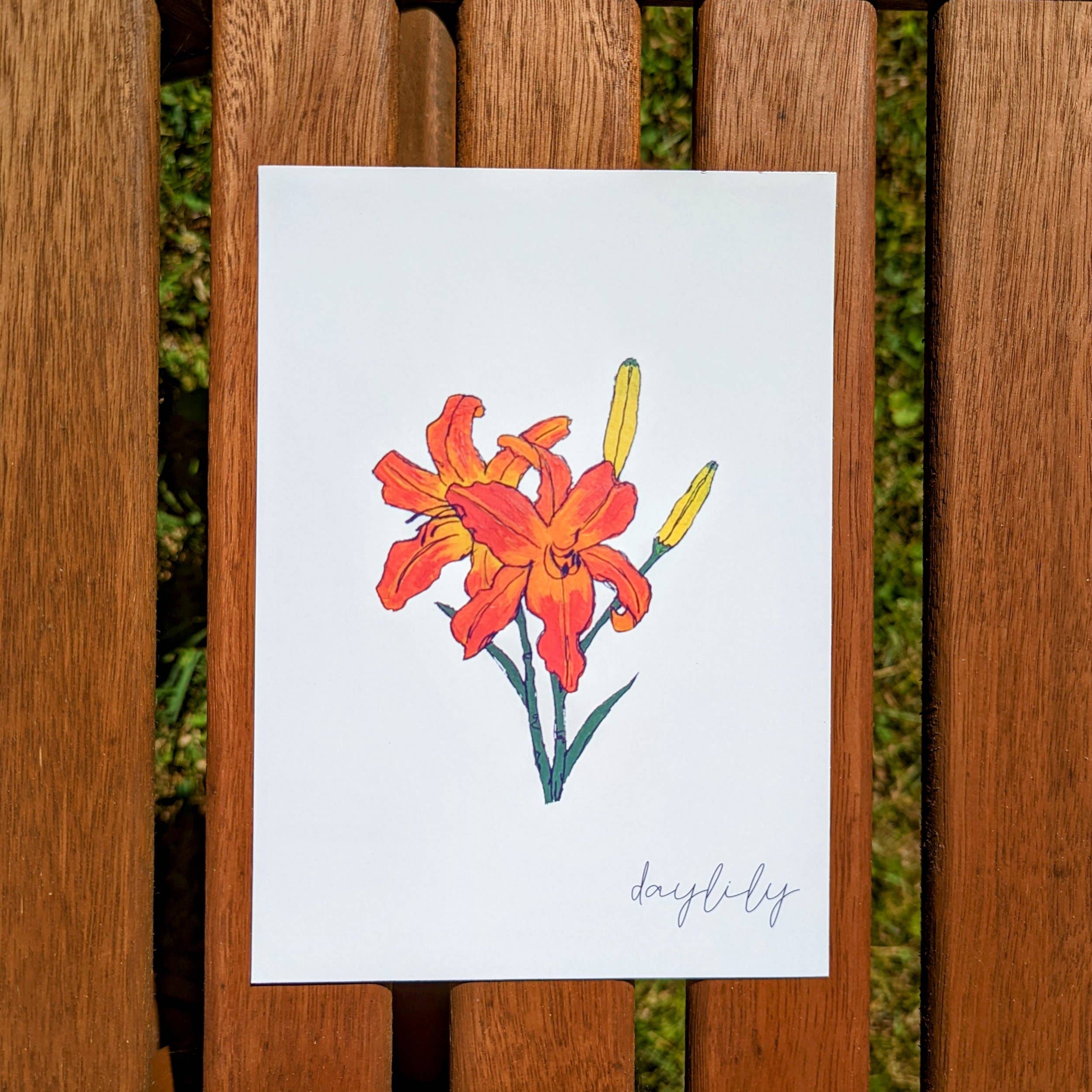 Ashley Laren Art - Wholesale Art Print - Daylily Flower Art Print1