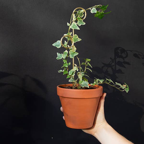 Black Set of 4 Mini Plant Stakes for wholesale on Faire7