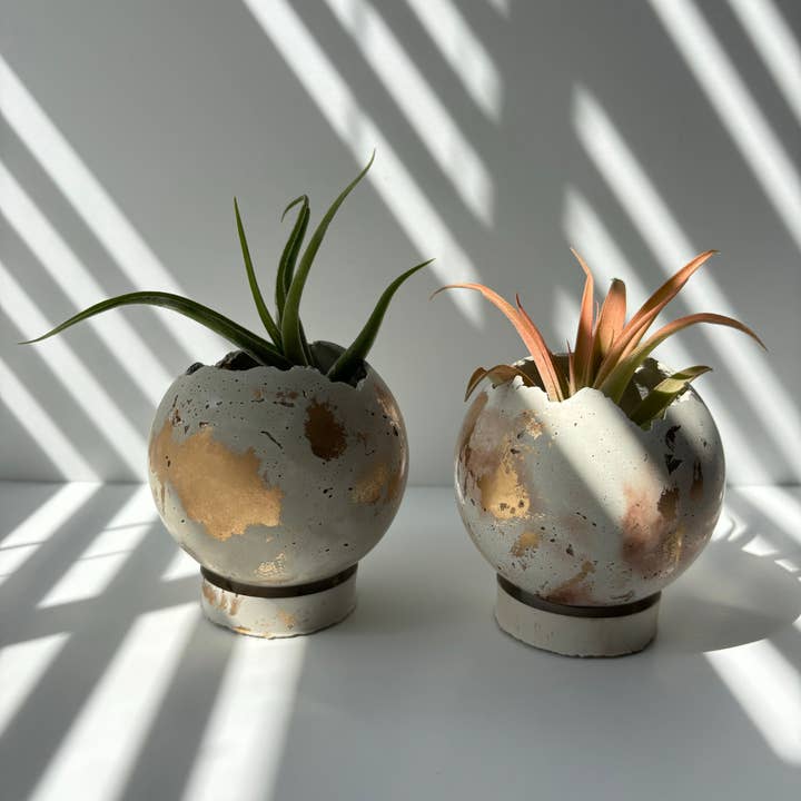 Fancy Concrete - Wholesale Plant Pot - Mini-Moon 3” Pot | Sphere Planter | Ball Concrete Planter