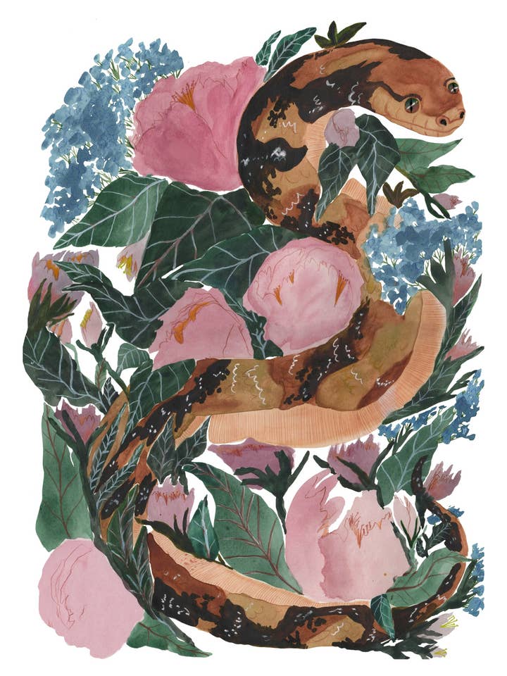 Slange og pæoner for engroshandel hos BITSIFIND