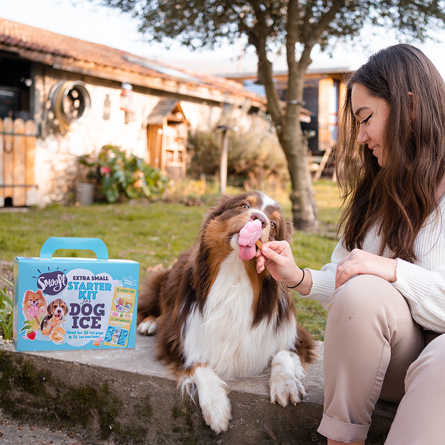 Smoofl - Wholesale Pet Supplement - Dog - Extra Small starter kit for dog ice3