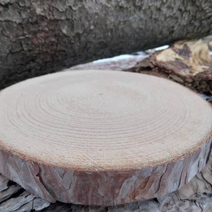 Stumps Custom Wood - Wholesale Decorative Tabletop Object - Rustic Wood Slices 1.5” Thick, Pine Live Edge Centerpieces, Wedding decorations, Table decorations, Live Edge Barky Coasters, Wooden slices3