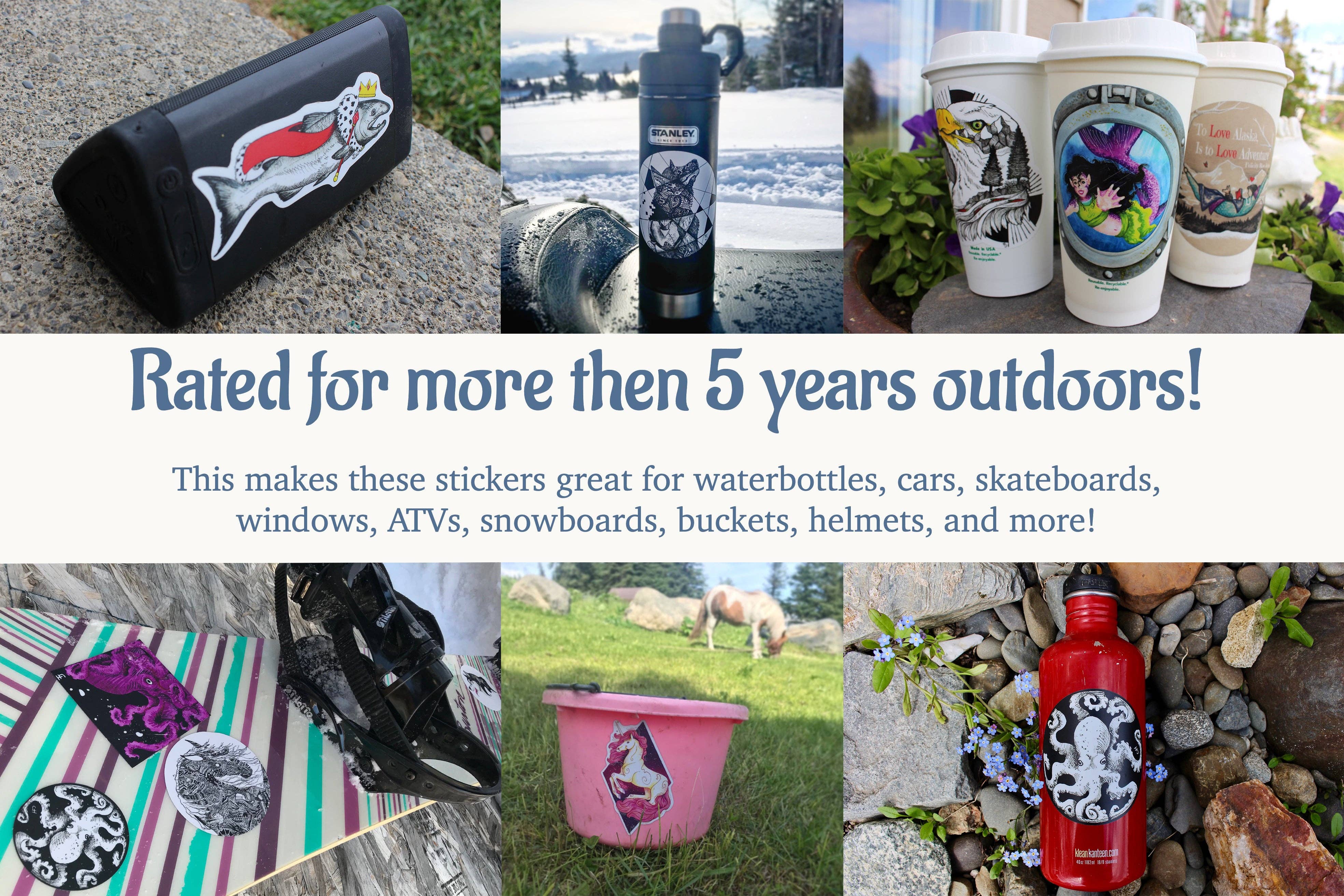 FJ Creations - Wholesale Sticker - "King Salmon" Vinyl Sticker2