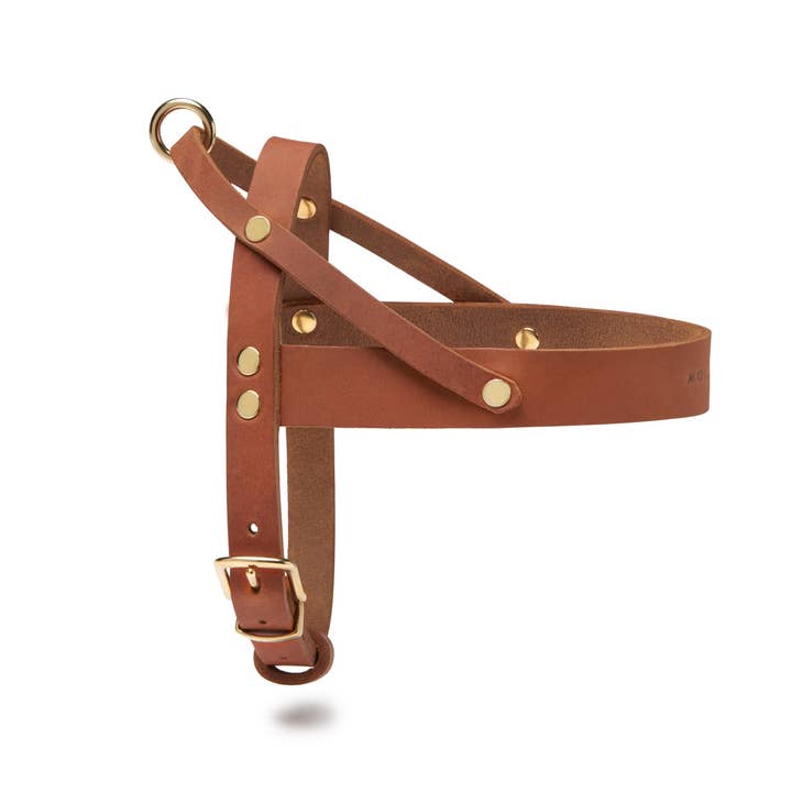 Molly and Stitch - Wholesale Pet Harness - Dog - Butter Leather Dog Harness - Sahara Cognac