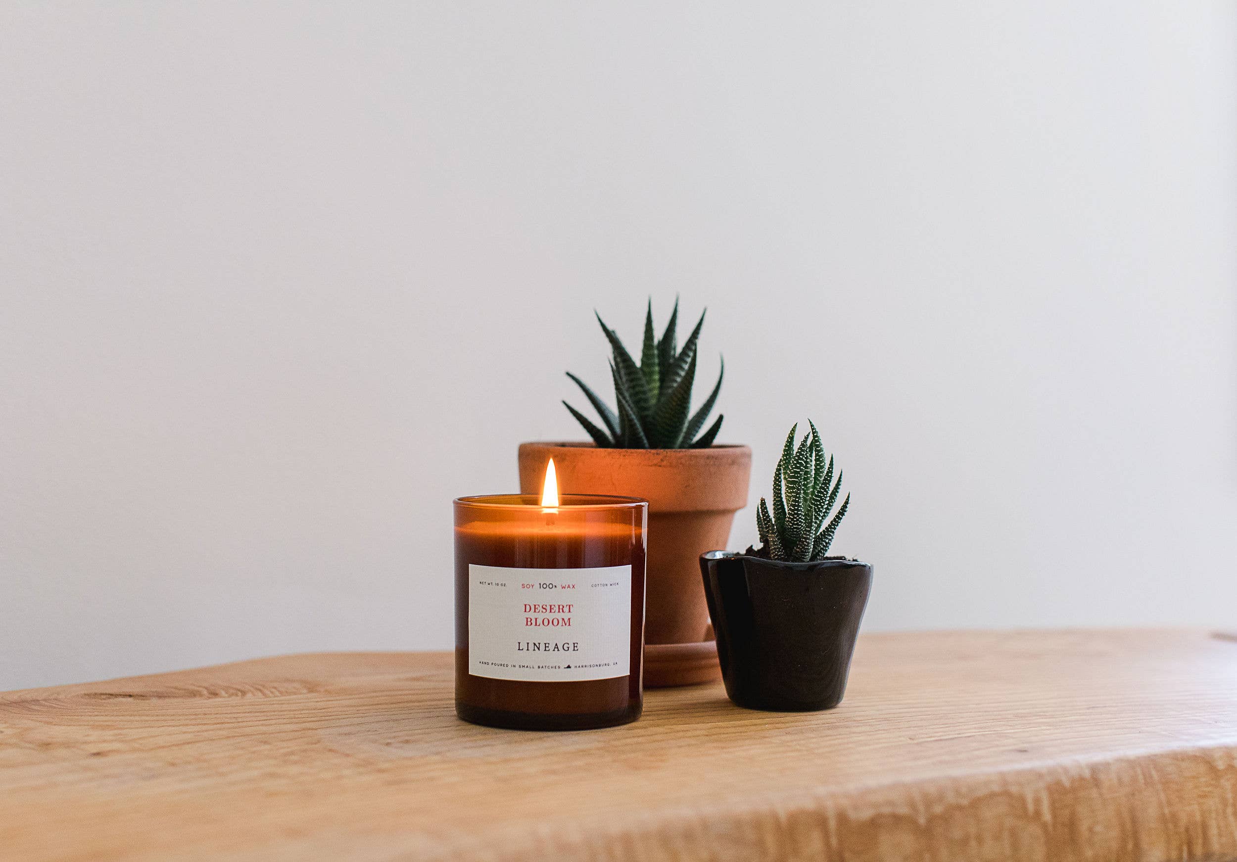 Lineage – Engroshandel Glaslys – Desert Bloom Lys2