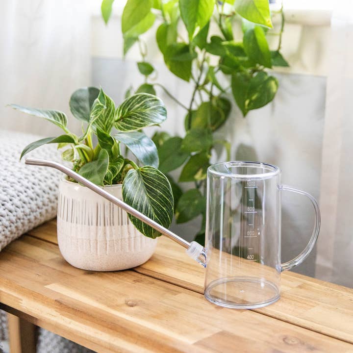 Best Watering Can | Houseplant Care + Indoor Gardens and other Purchase wholesale watering can. Free returns & net 60 terms on Faire trending on Faire.