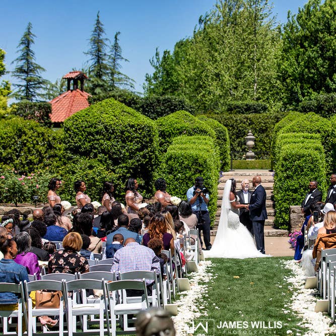 Flyboy Naturals Rose Petals - Wholesale Dried/pressed flowers - Irish Blend Rose & Hydrangea Petals.30 Cups Freeze-dried USA8