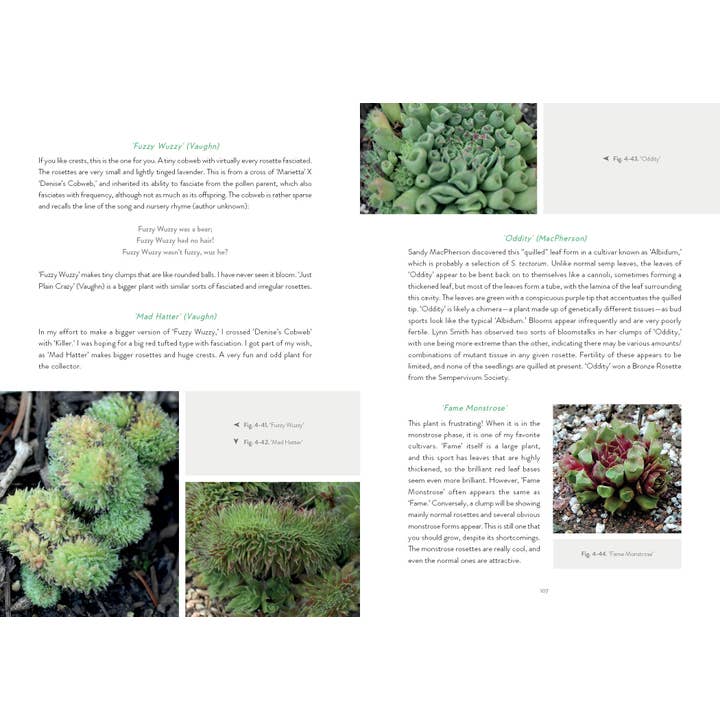 Schiffer Publishing – wholesale Home & Garden – Sempervivum6