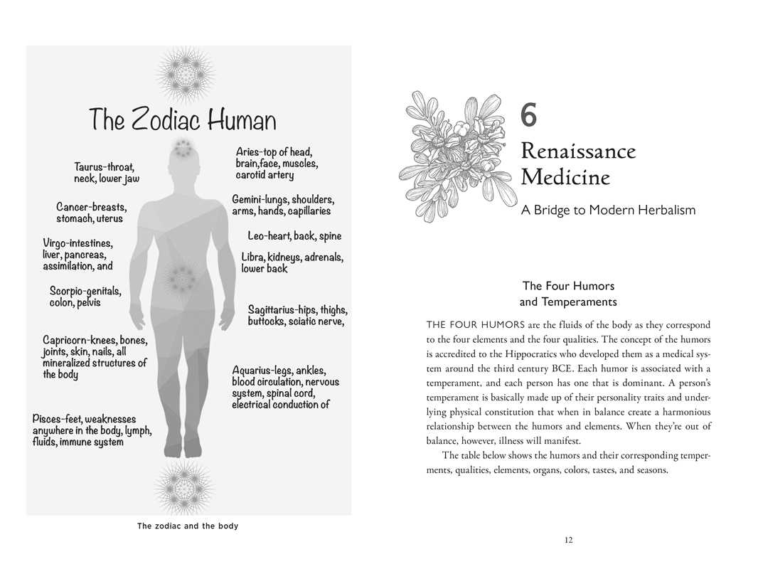 Simon & Schuster - Wholesale Medical Health - Della Medicina by Lisa Fazio5